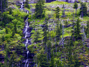 Mountain Falls in Waterton Lakes Park