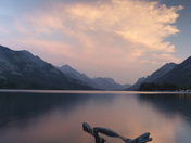 Driftwood Tranquility