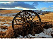 Old wagon wheels