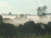 Morning Mist