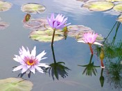 impressionist painting