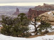 Winter in the desert