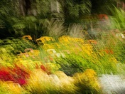 The Colors of Summer