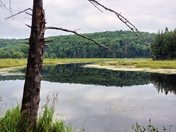 Algonquin Provincial Park