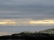 the sounds of a peaceful calm