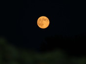 Tonight's Supermoon