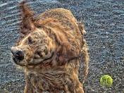 Shake in slow motion