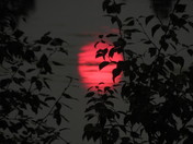 Red Sun 