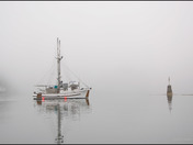 Fishing in the Fog