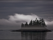 Island in the Fog