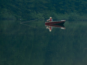 Fisher at Cottonwood Lake