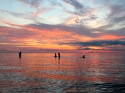 Swimming at sunset