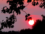 Warm August evening sunset
