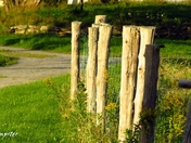 Country Fence