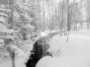 Winter at the Duck Pond