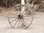 The wheel of fortune