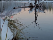 Early winter in Alberta