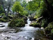 A River Runs Through It