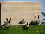 Back to school,Canadian style