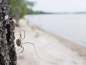 Surveying the landscape