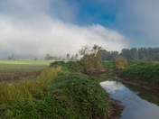 Fog lifting up in Fraser valley 