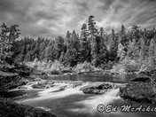 Elk Falls Provincial Park 