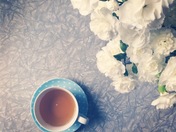 Firefox flash disabled