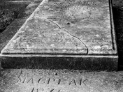 fallen but not forgotten