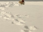 Gone But Not Forgotten