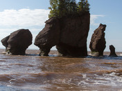 Hopewell Rocks