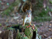 Eating and harvesting