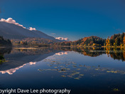 Cheam Wetlands - reflections on a fall day