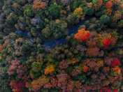 Falls Colours From Above