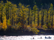 Afternoon Traffic on the Bow River