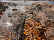 Port au persil - Charlevoix