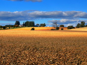 autumnal farmland