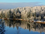 Wintry Reflection