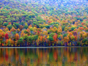 Mother Nature and her paintbrush... gone wild!!