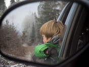 Looking for Firewood