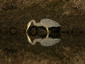 Heron's reflection
