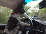 First day behind the wheel