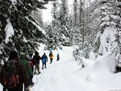 Manning Provincial Park:  Snowshoeing