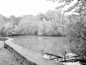 High Park on the flipside