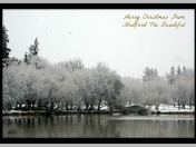 Merry Christmas To All My Friends