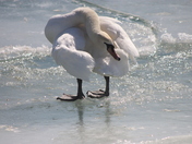 Don't look back. You're not going in that direction.