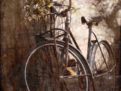 Decorated for Spring