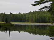 Reflection in Algonquin Park