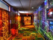  different hallway