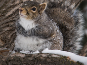 I say a little prayer