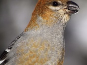 It's all in the details 